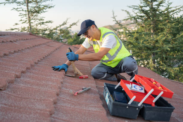 Best Flat Roof Repair Services  in Elkhart, IN